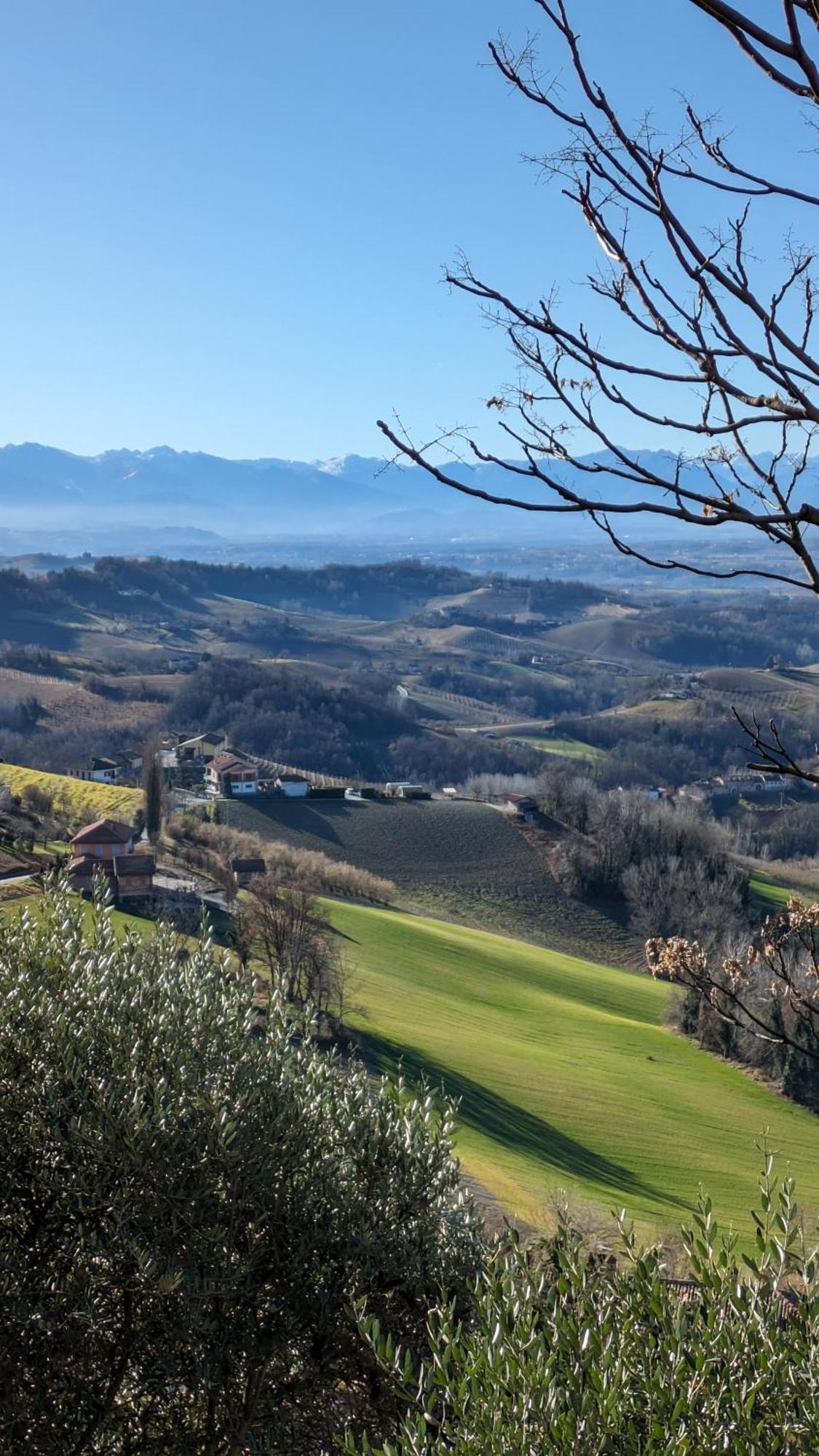 Charming Barolo Wine Loft Hotel Monforte D'Alba Exterior photo