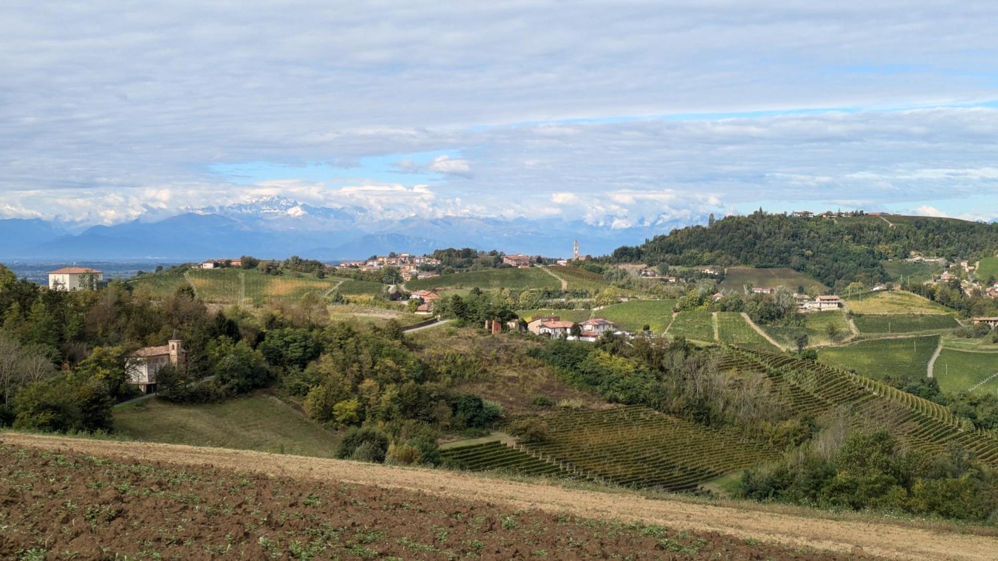 Charming Barolo Wine Loft Hotel Monforte D'Alba Exterior photo