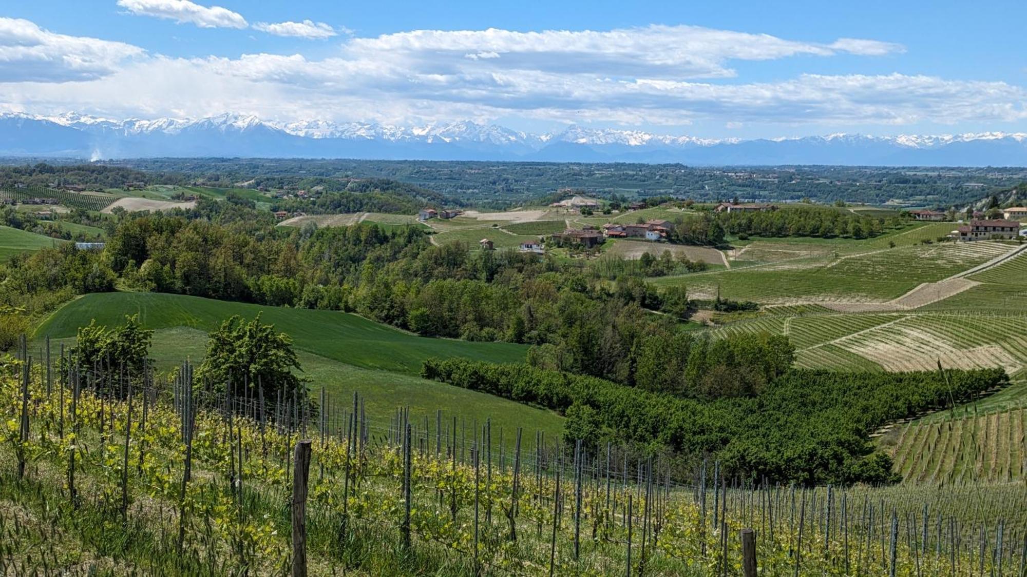 Charming Barolo Wine Loft Hotel Monforte D'Alba Exterior photo