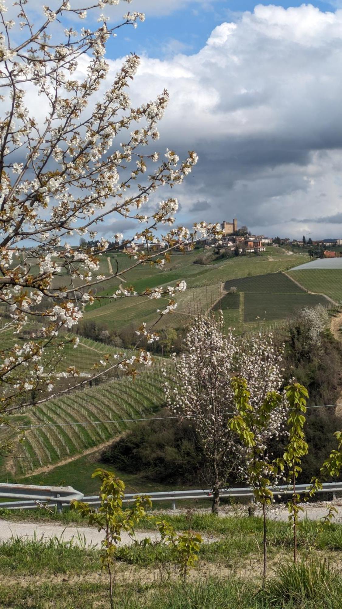 Charming Barolo Wine Loft Hotel Monforte D'Alba Exterior photo